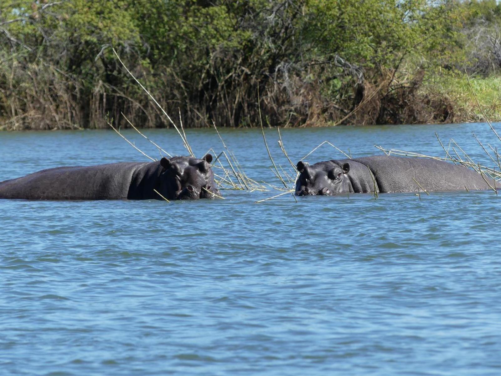 Mobola Lodge Mamono Экстерьер фото